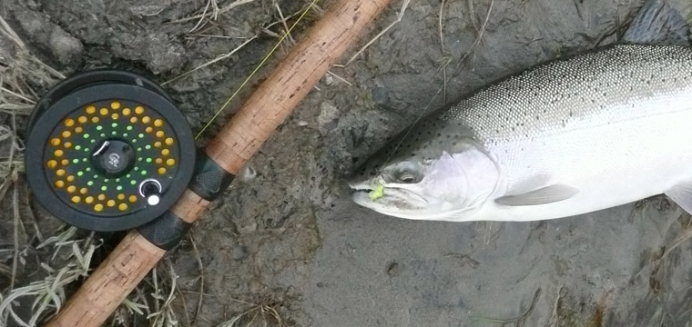 Steelhead Alley – Lake Erie